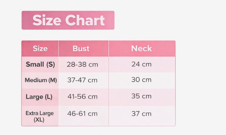 No-Pull Dog Chest Harness & Leash Set