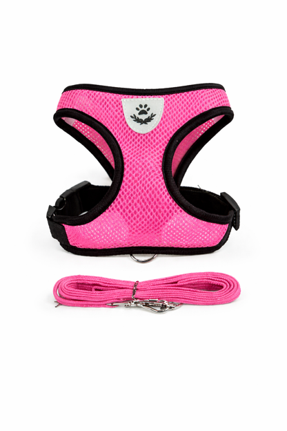 No-Pull Dog Chest Harness & Leash Set