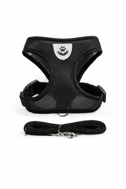 No-Pull Dog Chest Harness & Leash Set