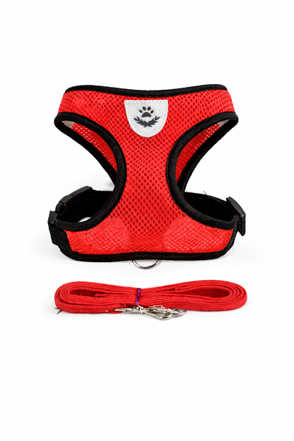 No-Pull Dog Chest Harness & Leash Set