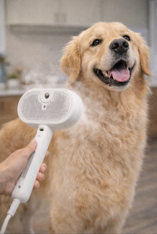 3-in-1 Steam Pet Brush