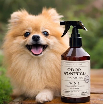 5-in-1 Dog & Pet Deodorizer Spray – Lavender Scent with Oatmeal & Aloe (8 oz / 240 ml)