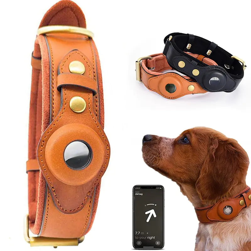 Leather Anti-Lost Dog Collar and Leash