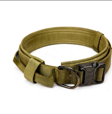 Dog Collar