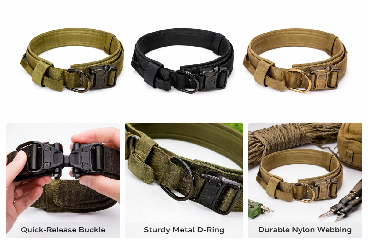 Dog Collar