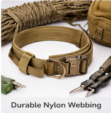 Dog Collar