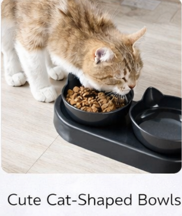Cat Bowl
