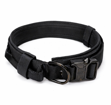Dog Collar