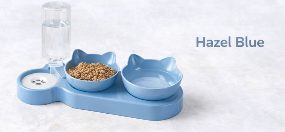 Cat Bowl