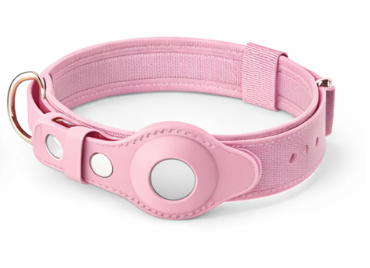 Leather Anti-Lost Dog Collar and Leash
