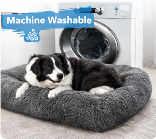 Dog Beds for Large Dogs