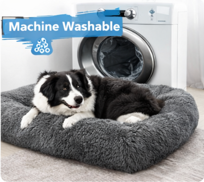 Dog Beds for Large Dogs