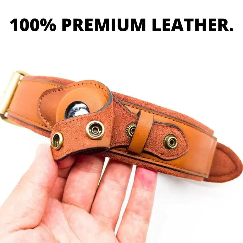 Leather Anti-Lost Dog Collar and Leash